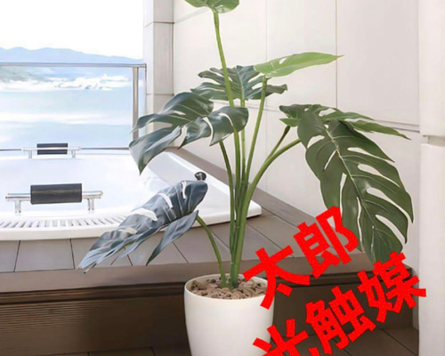 d804367952bbca556ec0c7cbddc589