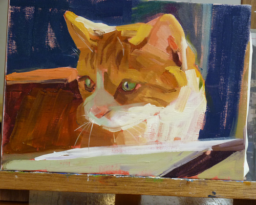 019db415a761e75942444c57b98acd