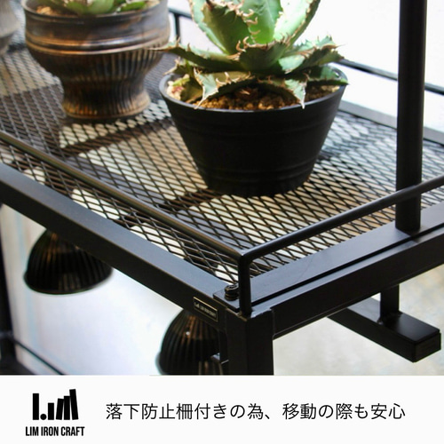 アガベ、塊根に特化した水受けトレー付き植物棚 ボタニカルシェルフ