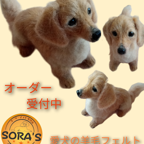 羊毛フェルト 犬 リアルで可愛い 愛犬さん オーダーメイド・わんちゃん