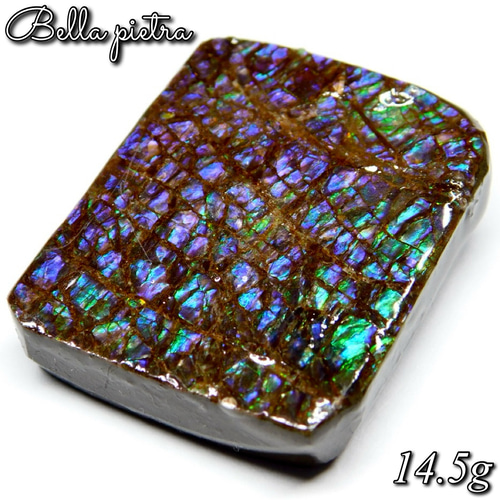 美遊色！高品質☆希少☆カナダ産アンモライト ピース ドラゴンスキン