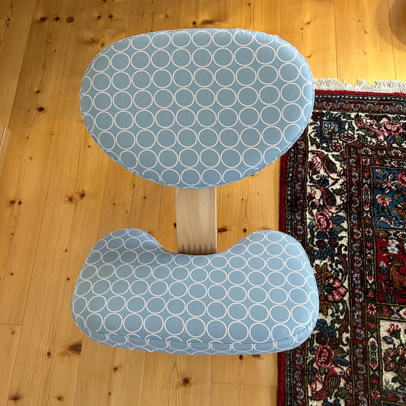 バランスラボ社 バランスチェア バランスイージー カバー 椅子