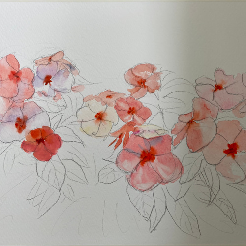 水彩画】原画「 ニチニチソウ」F4：242×332 mm #花 #flower