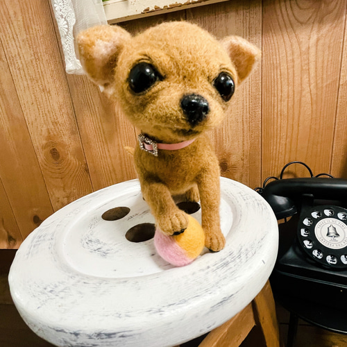 羊毛フェルトのスムースチワワちゃん 羊毛フェルト ♪めれんげど~る