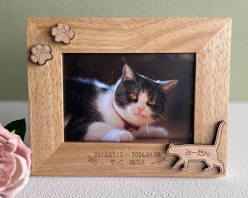 a008f51ede37f78b8c18e846d6a862