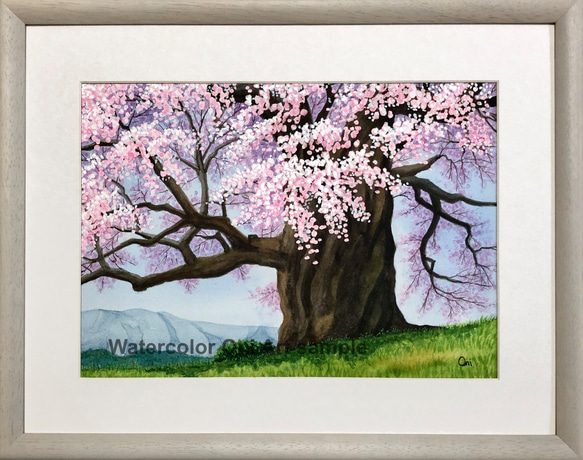醍醐の桜03」透明水彩画 原画 風景画 額縁付 F4サイズ 絵画 Oni 通販