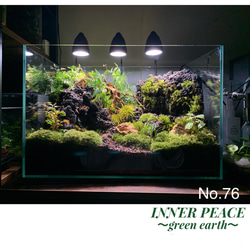 2cb614670a3585588c5aadd6dff702