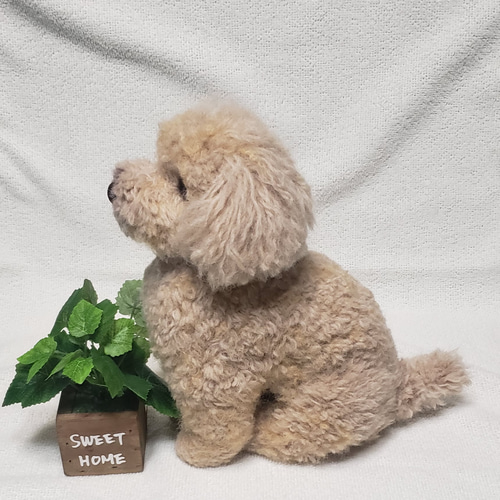 羊毛フェルト オーダー 「リアルで可愛いワンちゃん」 トイプードル