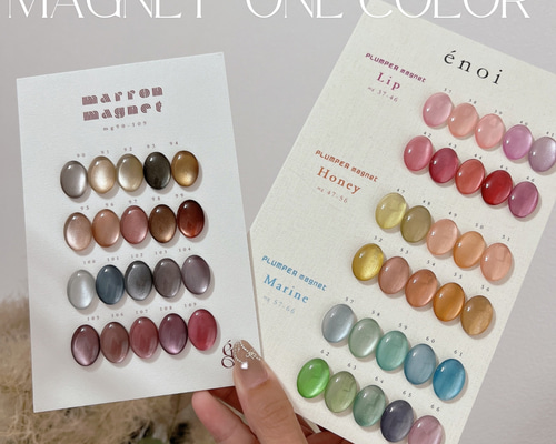 ネイルチップ＊enoi マグネットワンカラー プランパー マロンマグ