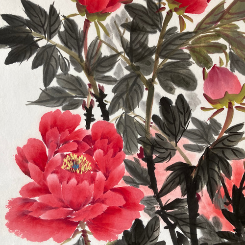 掛け軸 牡丹 葉牡丹 水墨画 インテリア ピンク 絵画 こたつ 通販