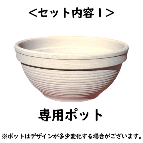 水晶入りアーシングポット（芝生タイプ） その他素材 tunsam 通販