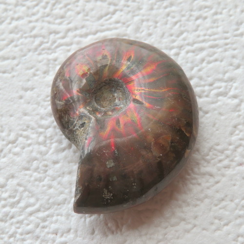 美しい化石標本◇マダガスカル産／ファイアーアンモナイトの化石／9