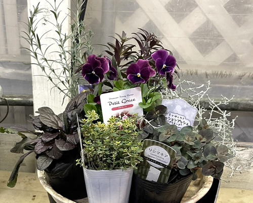 15f5b9de8afc011b8c8fd1b24d0578