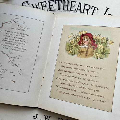 英国で出会った♪ アンティーク 古書 1890年版 詩集絵本 「TENS AND