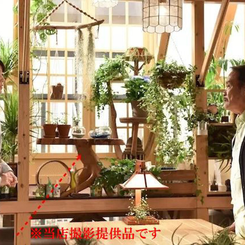 在庫処分セール】サイドテーブル 木製 チーク材 原木 切り株 根っこ 再