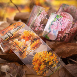 木と林シリーズ 6種セット マスキングテープ PET コラージュ素材 PET