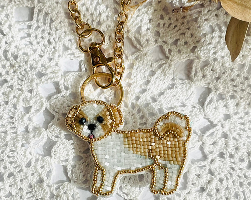 50e9be9f0caf0b2e59afa2759fd181