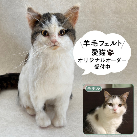 羊毛フェルト【オーダーメイド】うちの子オーダー✴︎ネコ＊ねこ＊猫