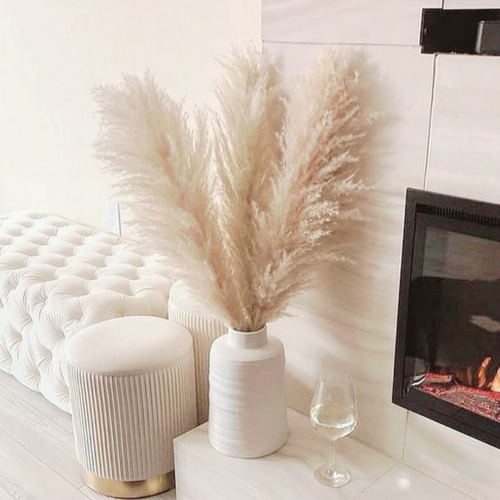 2本セット】最安値 特大 XLサイズ パンパスグラス パンパス ドライ