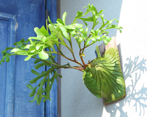 ab3a8b8c2dff373b75fa8d10a2d6ad