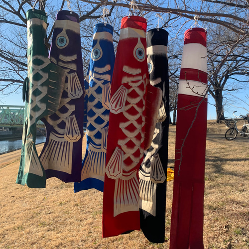 歌川広重「名所江戸百景 水道橋駿河台」手描き鯉のぼり1.5mセット