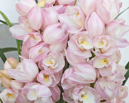 721d351d0173318fc9db4ae077059f