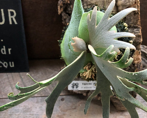 eb963f92a487d88841c270c88fc564