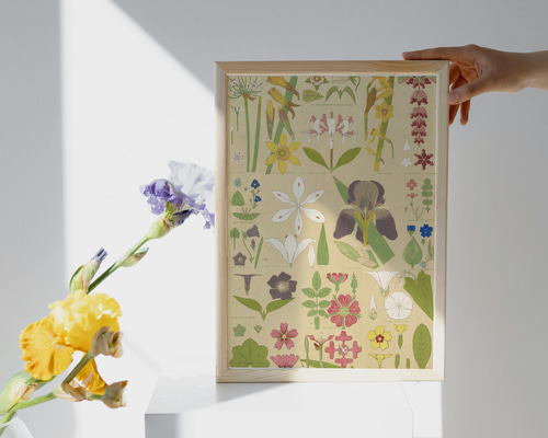 超希少】 Rie Cramer リトグラフ印刷 絵本 ボタニカル柄 インテリア 超