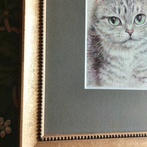 猫 色鉛筆画 「さくらねこ」原画 送料無料 額装済 絵画 Ayumi Noda