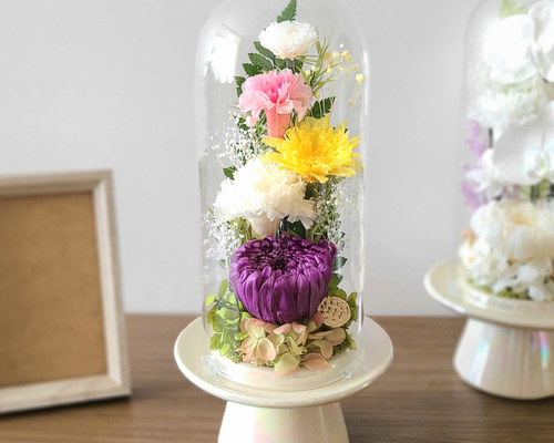 e8a991f5111f800bb4d6965a17027e