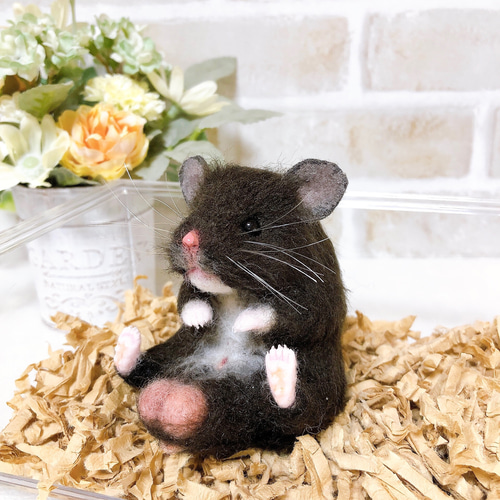 クロクマ お座りハムちゃん*ゴールデンハムスター* (羊毛フェルト