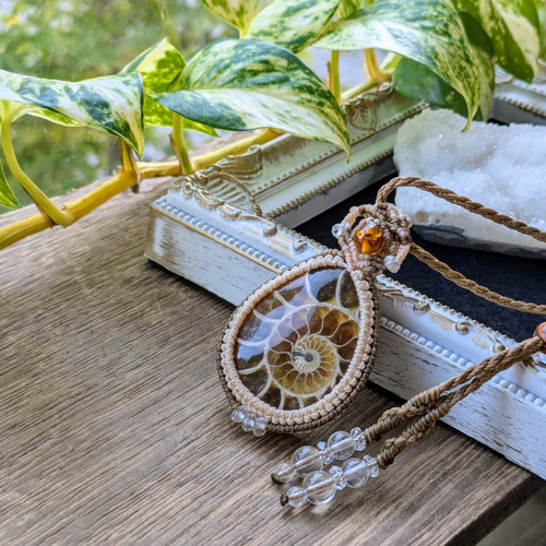 ☆アンモナイト(化石)☆マクラメ編みネックレス 230・マクラメ