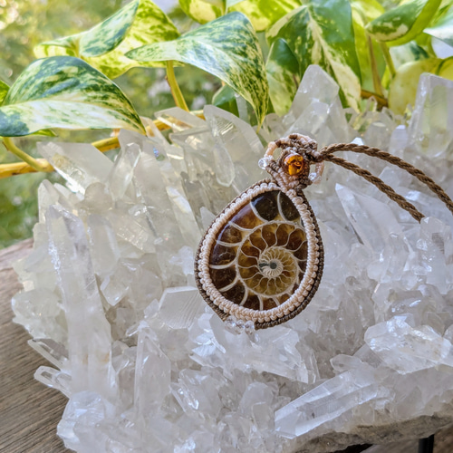 ☆アンモナイト(化石)☆マクラメ編みネックレス 230・マクラメ