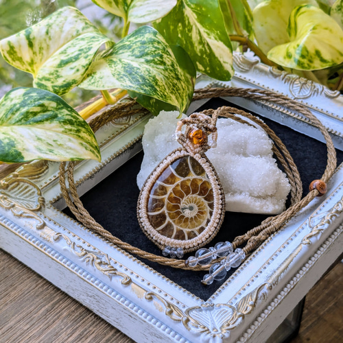 ☆アンモナイト(化石)☆マクラメ編みネックレス 230・マクラメ