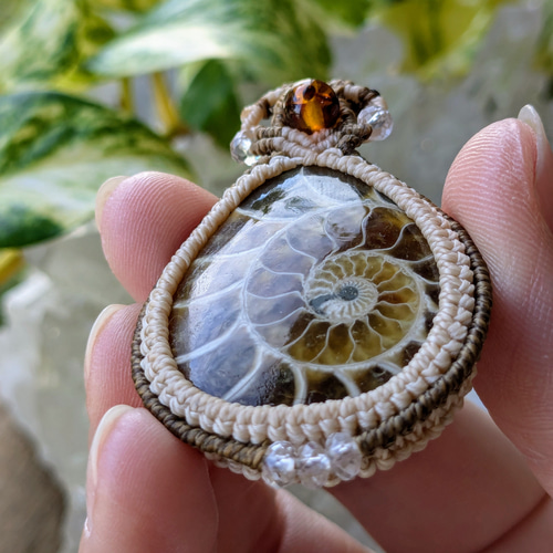 ☆アンモナイト(化石)☆マクラメ編みネックレス 230・マクラメ