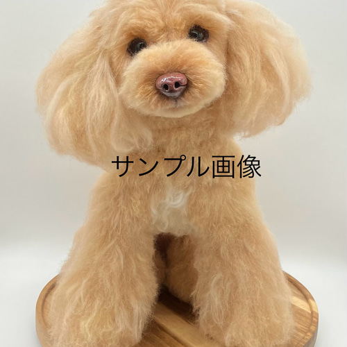 羊毛とプー】 ♦️プレミアムサイズ♦️ 羊毛フェルト オーダーメイド