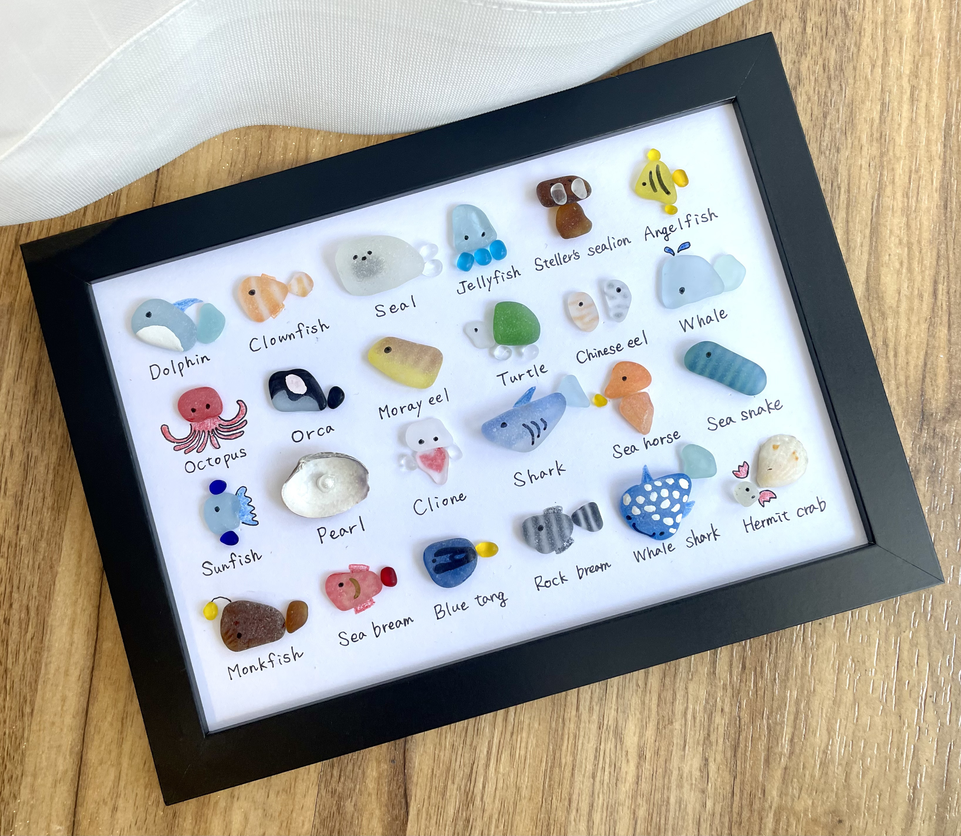 シーグラスアート☆No155 図鑑 ギフト プレゼント 父の日 水族館
