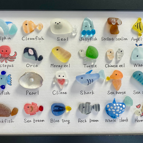 シーグラスアート☆No155 図鑑 ギフト プレゼント 父の日 水族館