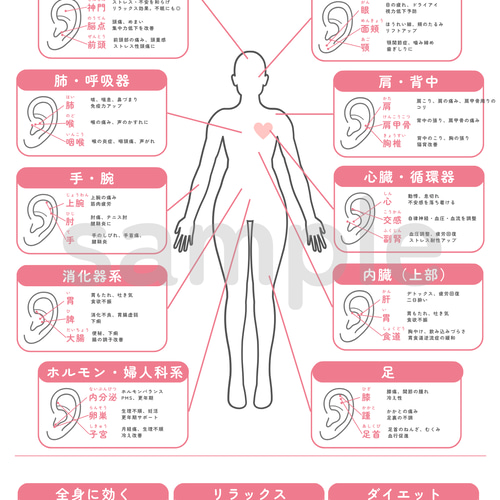 耳ツボ辞典セット | 耳ツボジュエリー イヤリング・ノンホールピアス