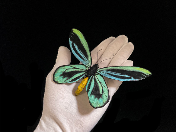 アレクサンドラトリバネアゲハ(14.5cm) | 精密レプリカ | 蝶標本