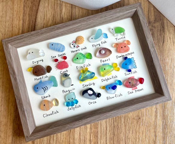 シーグラスアート☆No158 図鑑 ギフト プレゼント 水族館 ヒーリング