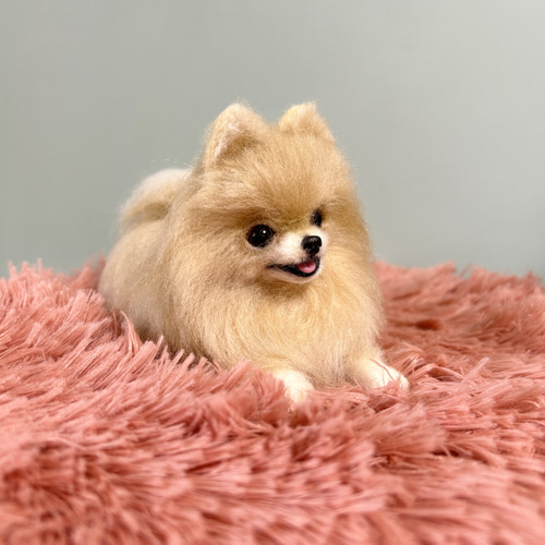羊毛フェルト にこにこポメラニアン 送料無料 クリーム 羊毛フェルト
