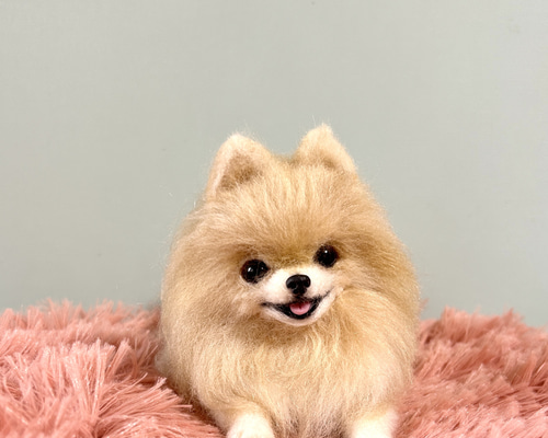 羊毛フェルト にこにこポメラニアン 送料無料 クリーム 羊毛フェルト