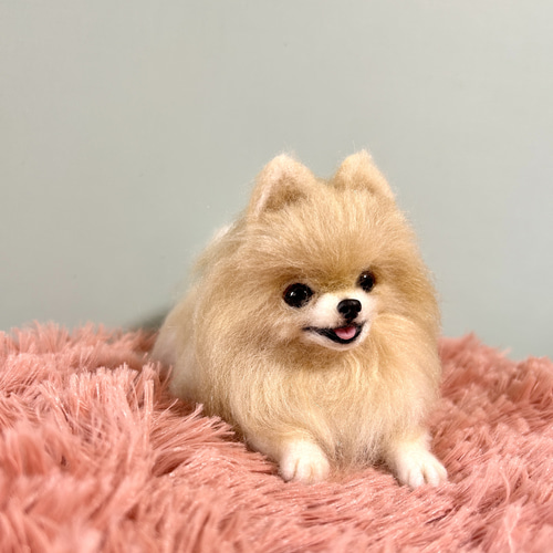 羊毛フェルト にこにこポメラニアン 送料無料 クリーム 羊毛フェルト