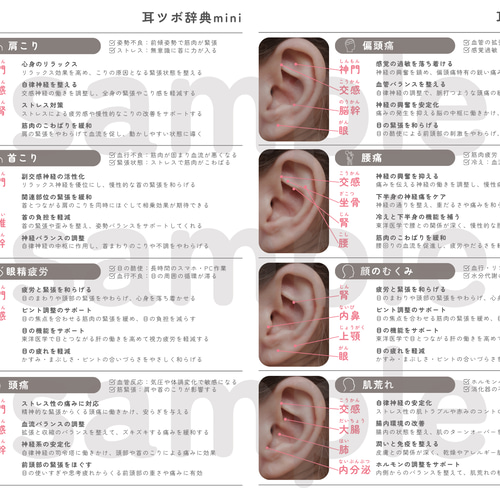耳ツボジュエリー | 耳つぼ辞典mini vol.1 | 耳つぼマップ その他