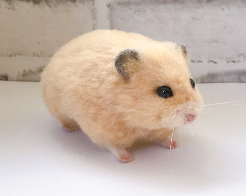 b960375a2968569ed636c3d68b9b83