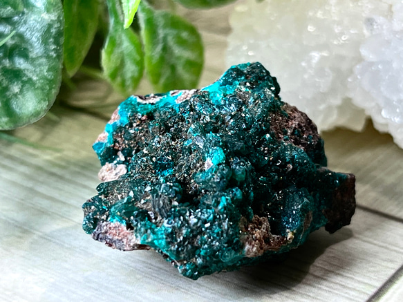 ダイオプテーズ コンゴ産 翠銅鉱 ラフストーン 原石 天然石 東洋占星術