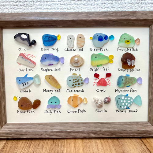 シーグラスアートNo.172☆図鑑 海の生き物5×4 雑貨 置物 ヒーリング