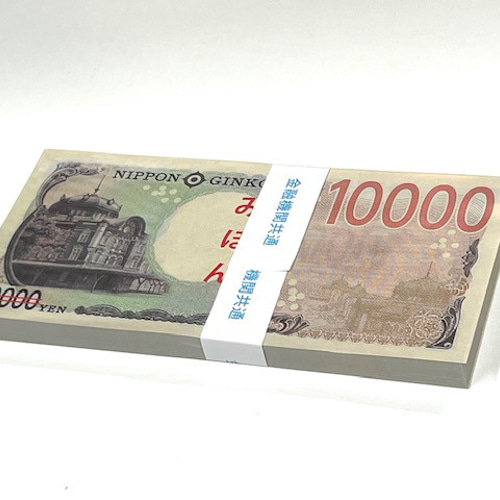ダミー紙幣100万円札束 100枚すべて印刷 金融機関共通帯封 1束 新品