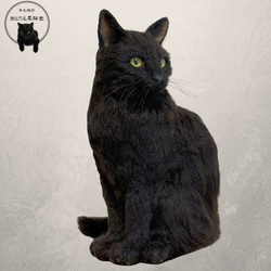 羊毛フェルト【受注制作】猫 羊毛フェルト あとりえ黒猫堂 通販